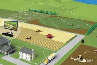 區塊鏈未死 2019年農業領域或將浴火重生，技術交流引領變革