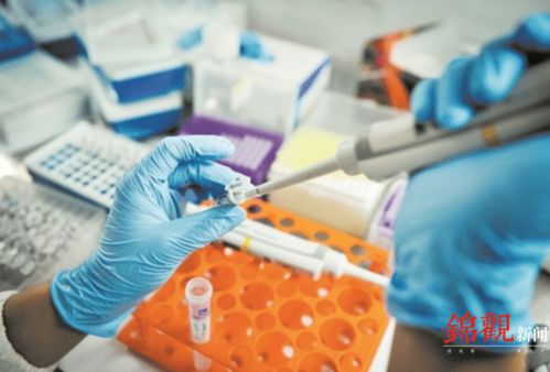 睿樂達再次吸睛 從機器人到原研藥，看成都566.8億元高新技術產品背后的創新韌性